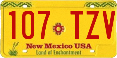 NM license plate 107TZV