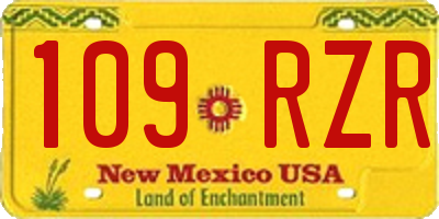 NM license plate 109RZR
