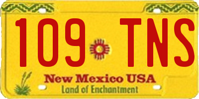 NM license plate 109TNS