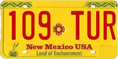 NM license plate 109TUR