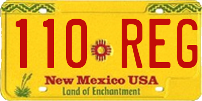NM license plate 110REG