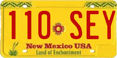 NM license plate 110SEY