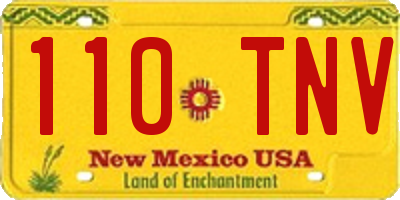 NM license plate 110TNV