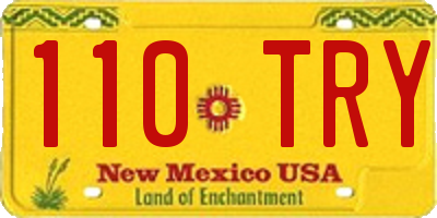 NM license plate 110TRY