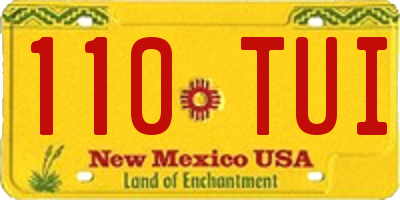 NM license plate 110TUI