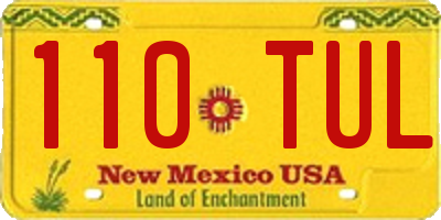 NM license plate 110TUL