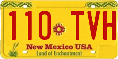 NM license plate 110TVH