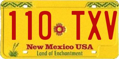 NM license plate 110TXV