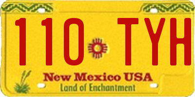 NM license plate 110TYH