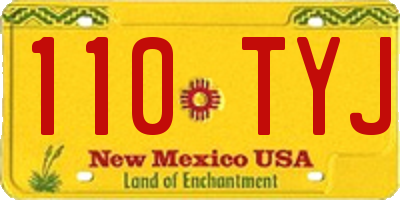 NM license plate 110TYJ