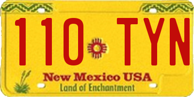 NM license plate 110TYN