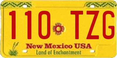 NM license plate 110TZG