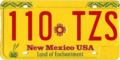 NM license plate 110TZS