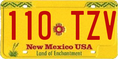 NM license plate 110TZV