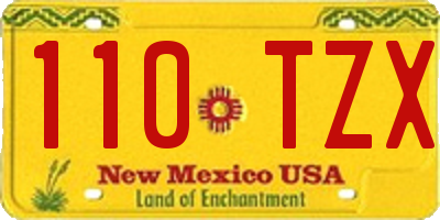 NM license plate 110TZX