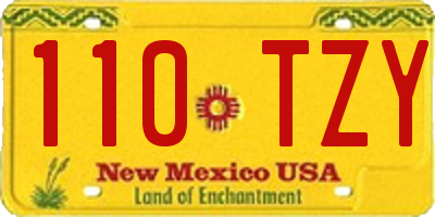 NM license plate 110TZY