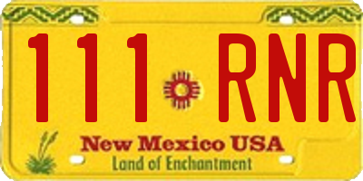NM license plate 111RNR