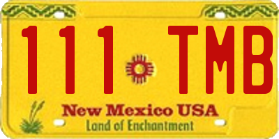 NM license plate 111TMB