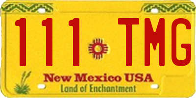 NM license plate 111TMG