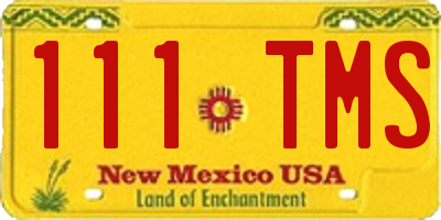 NM license plate 111TMS