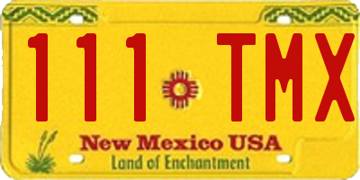 NM license plate 111TMX