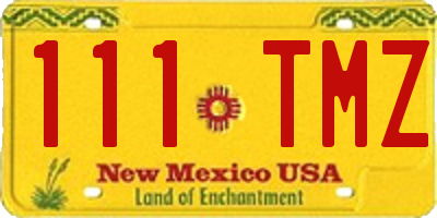 NM license plate 111TMZ