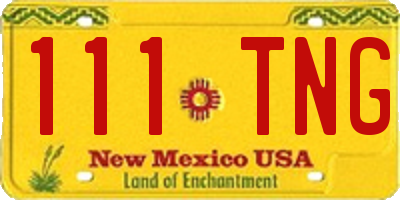 NM license plate 111TNG