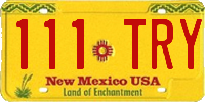NM license plate 111TRY
