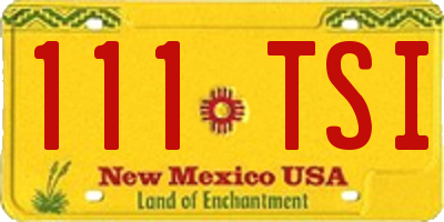 NM license plate 111TSI