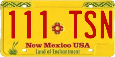 NM license plate 111TSN