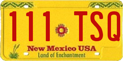 NM license plate 111TSQ