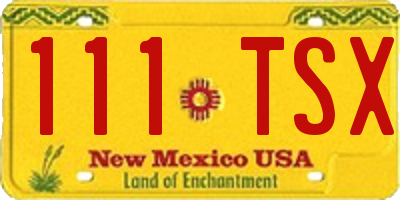 NM license plate 111TSX