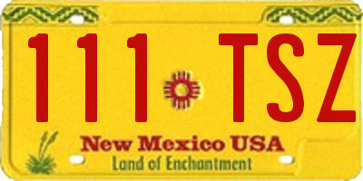 NM license plate 111TSZ