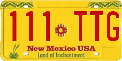 NM license plate 111TTG