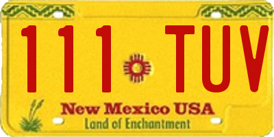 NM license plate 111TUV