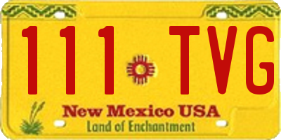 NM license plate 111TVG