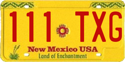 NM license plate 111TXG