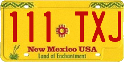 NM license plate 111TXJ