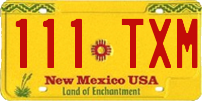 NM license plate 111TXM