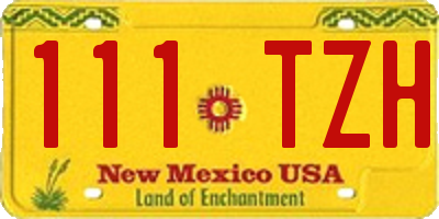 NM license plate 111TZH