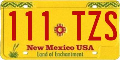 NM license plate 111TZS