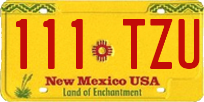 NM license plate 111TZU