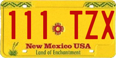 NM license plate 111TZX