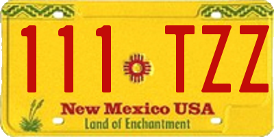 NM license plate 111TZZ