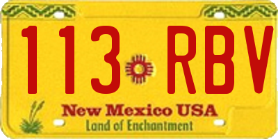 NM license plate 113RBV