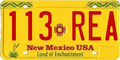 NM license plate 113REA