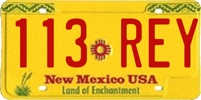 NM license plate 113REY