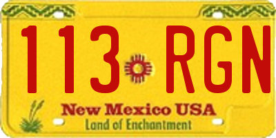 NM license plate 113RGN