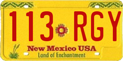 NM license plate 113RGY