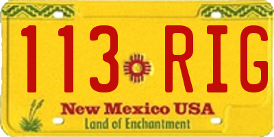 NM license plate 113RIG